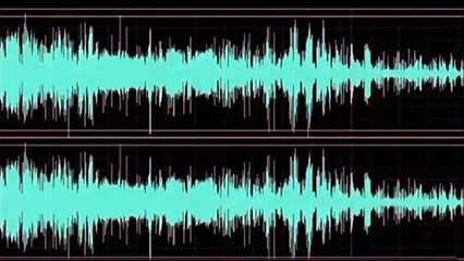 Millete 'it sürüsü' diyen hainin ses kaydı ortaya çıktı
