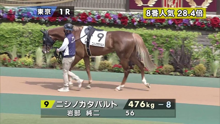 競馬場の達人 Pat勝負編 ザブングル加藤 485 動画 Dailymotion