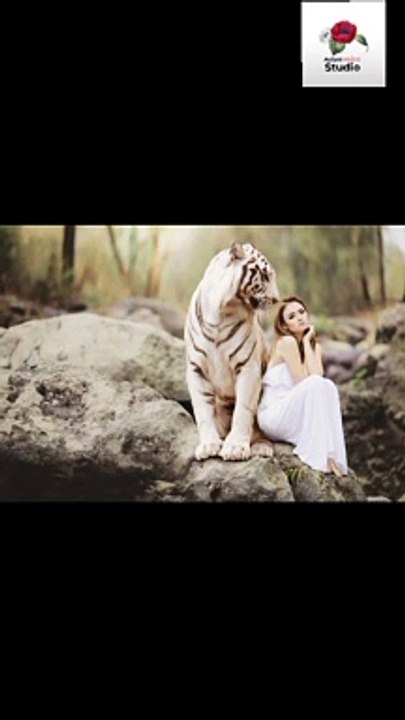 Urdo shairi || urdo hindi shsiry