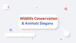 Wildlife Conservation and Saving Animals Slogans