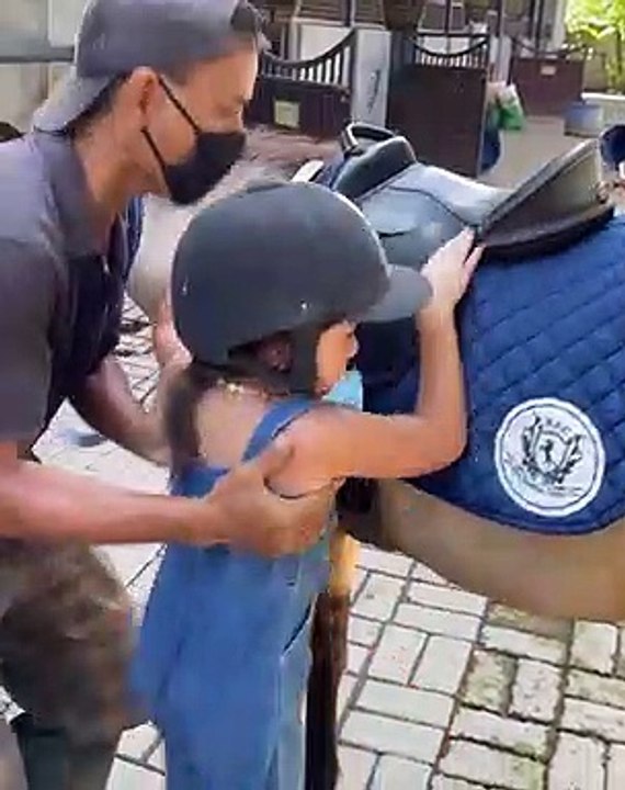 horses for kids