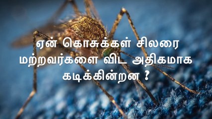 ஏன் கொசுக்கள் சிலரை மற்றவர்களை விட அதிகமாக கடிக்கின்றன ?