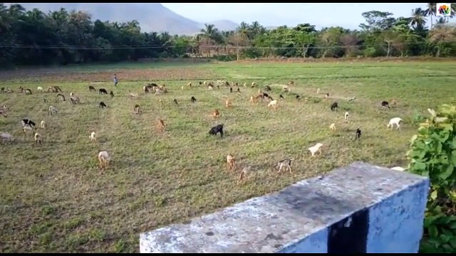 Western Ghats Views from Kerala-Tamil Nadu Boarder