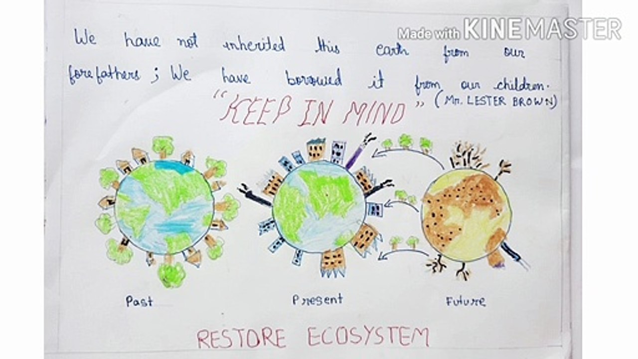 World Environment Day