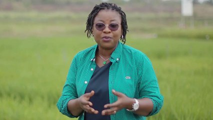 "La Côte d'Ivoire en Marche" : La politique de modernisation de la filière rizicole