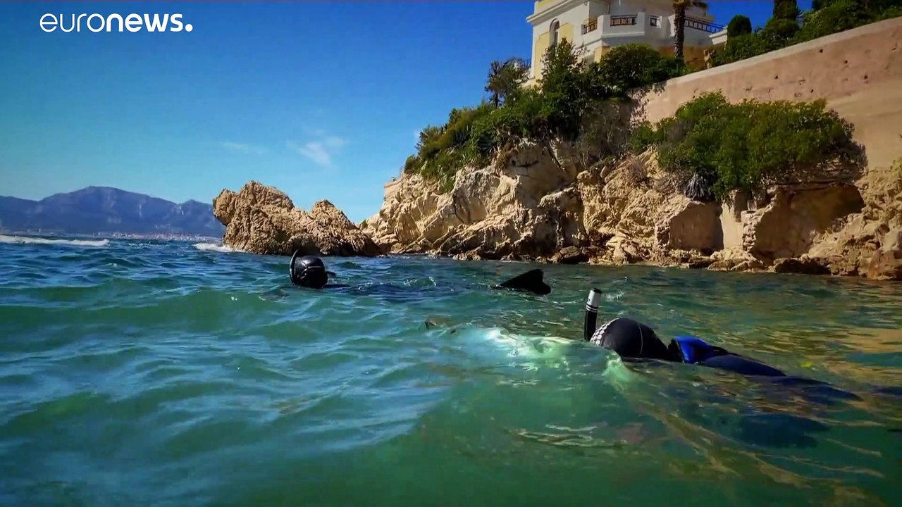 Der 8. Juni ist Welttag der Ozeane: Zeit für eine 'Blaue Agenda'