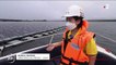 Thaïlande : plus de 140 000 panneaux photovoltaïques installés sur l'eau