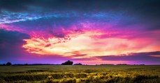 Pink horizon | pink sky | calm music | peaceful music | relax music | calming | relaxing music | meditation music | motivational music | inspiring music | calm your mind | sky | pink | cinematic music |peace|relax your mind and body| love by Rest In Peace