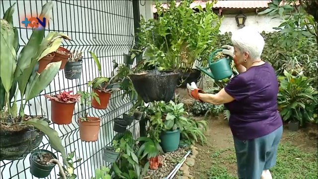 mqn-Plantar y pintar- Terapia perfecta en casa-070621