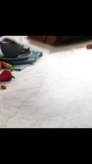 Brazo Gitano de Chocolate con Nuez