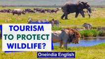 Tanzania's Serengeti National Park: How humankind co-exists with wildlife | Oneindia News
