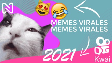 VIDEOS de COMEDIA, RISA y HUMOR. Nivel: SHITPOST JUNIO 2021.