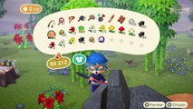 Acnh Tips: How To Find / Get & Grow Bamboo (Island Easy Tutorial) Animal Crossing New Horizons Guide