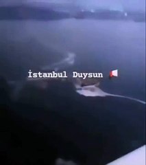 Marmara Denizi'nde skandal görüntü: Müsilajı gemiler mi döktü?