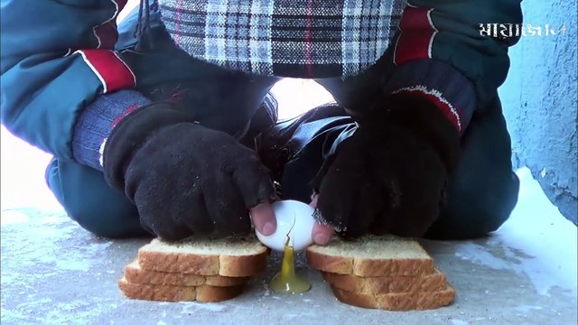 ভেড়াটিকে হঠাৎ করে খুজে পাওয়া যাচ্ছিল না , ৬ বছর পর যখন সে ফিরলো এবং তারপর যা ...