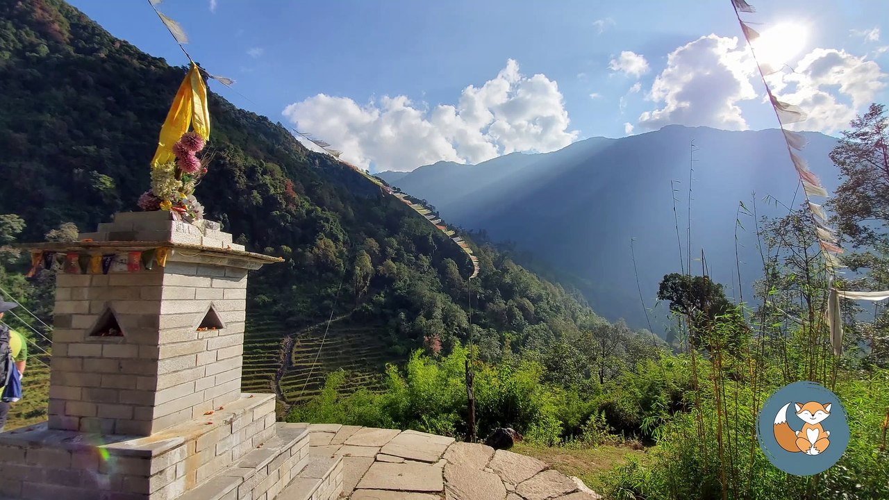 méditation_NL_Gémeaux