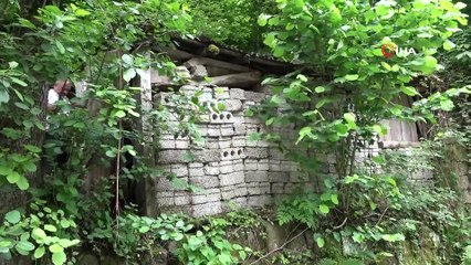 42 yıl önce garaja konulan kamyonet bir kere bile dışarı çıkartılmadı