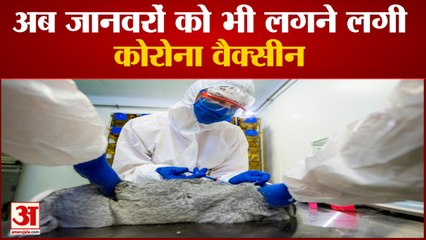 Animals के लिए भी Corona Vaccine, Russia ने बनाया टीका