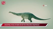 Avustralya’da kıtanın en büyük dinozoru keşfedildi