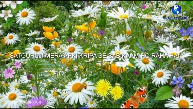 सतगुरु महाराजी भजन | Prem rawat bhajan - satguruji mere apki kripa se sab kaam ho raha hai bhajans | Guru maharaji bhajan | Satguru maharaji bhajans