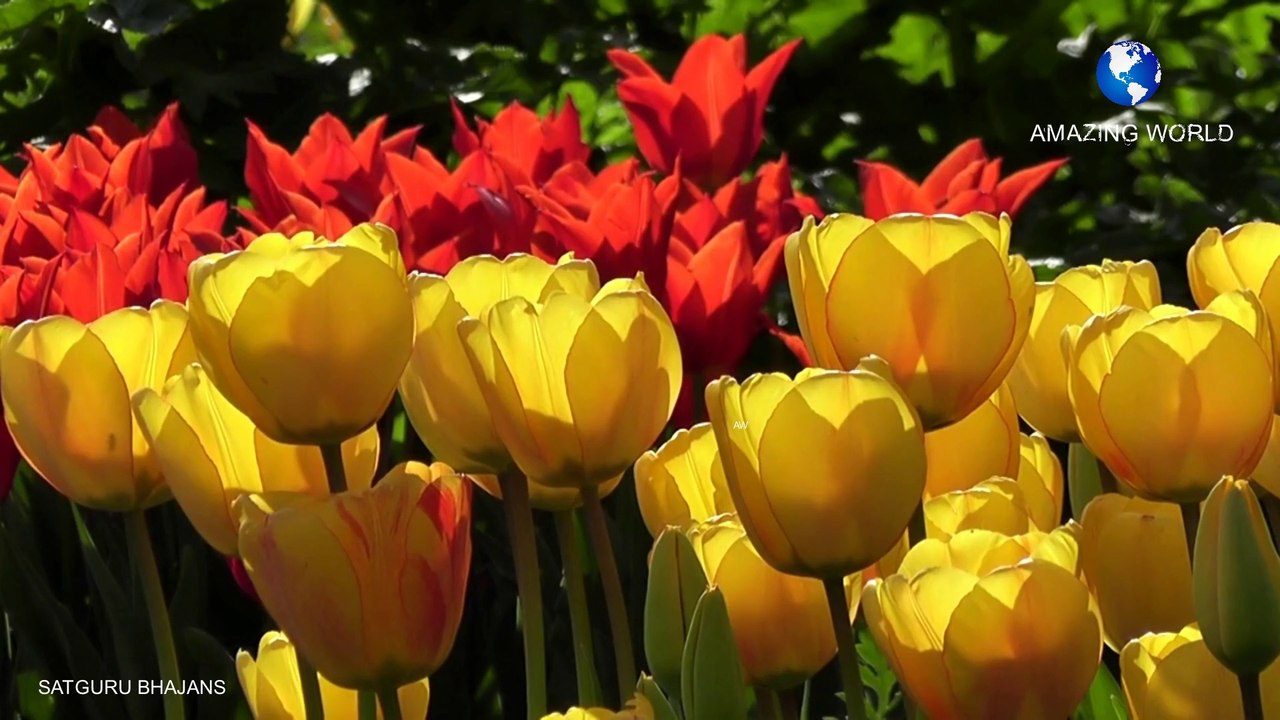 सतगुरुजी का भजन | Prem rawat bhajans - Daata de sahara mix superhit bhajans |  Guru maharaji bhajan | Satguru maharaji bhajans