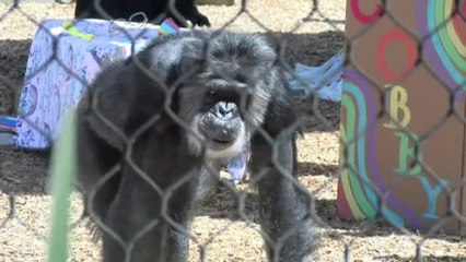 El zoológico de San Francisco despide a su inquilino más anciano