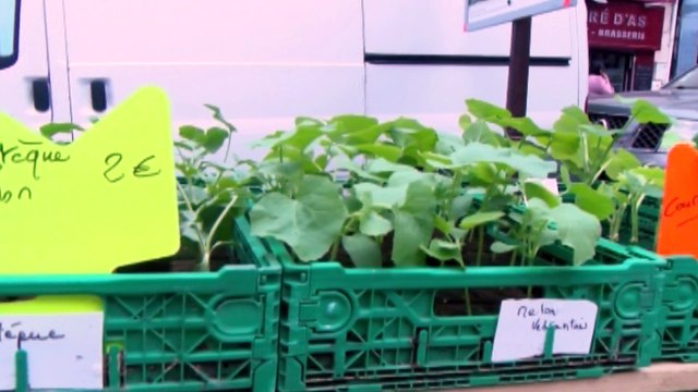 Martigues : le marché des producteurs locaux reprend du service