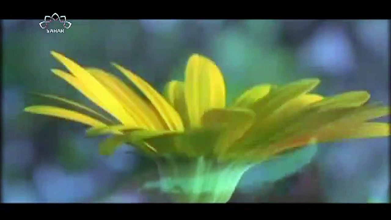 Sahar Urdu_32 SUN