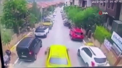 Feci olay: Taksici köpeği ezip kaçtı