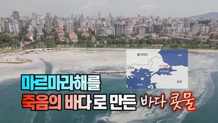 [세상만사] 이스탄불 앞바다를 뒤덮은 공포의 '바다 콧물(SEA SNOT)' / YTN