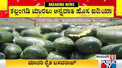 Young Farmer Scientifically Grows Yellow Watermelons In Kalaburagi