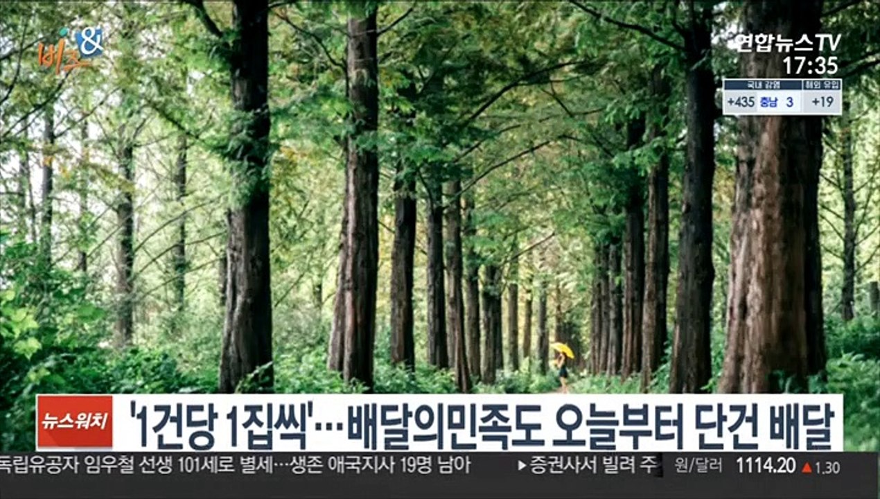 [비즈&] 6년만에 돌아온 신형 스포티지…내·외장 디자인 공개 外