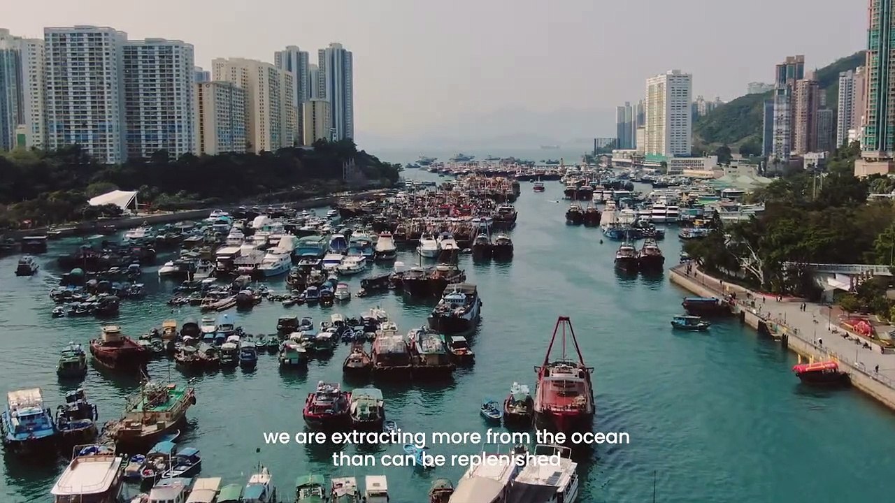 United Nations - Announcing UN World Oceans Day 2021