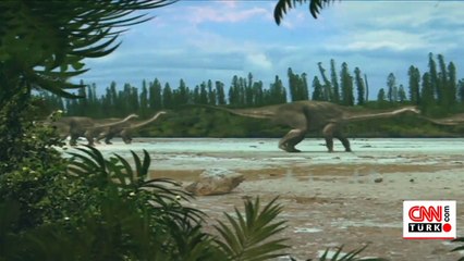 Dünyanın en büyük dinozorlarından biri keşfedildi