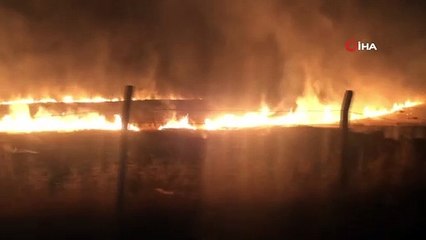 Şüpheli şahsın gece vakti anız yakma kamerada