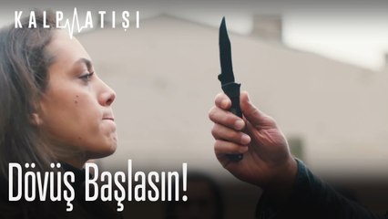 Dövüş başlasın!