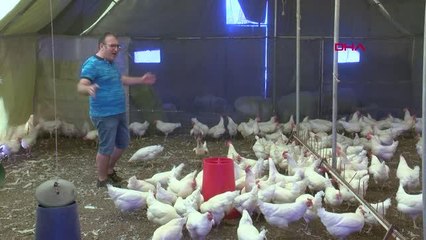 ANTALYA TAVUKLAR İÇİN OPERA SANATÇISINA KLASİK MÜZİK REPERTUVARI HAZIRLATTI