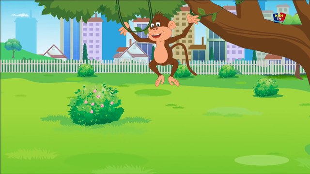 Pop Goes The Weasel chanson - comptines - chanson de la maternelle - Pop Goes The Weasel Song