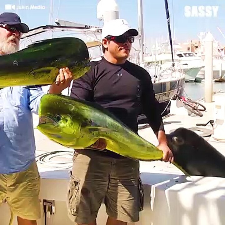 These sea creatures are so hilarious! ❤️️