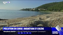 Pollution en Corse: les plages commencent à rouvrir