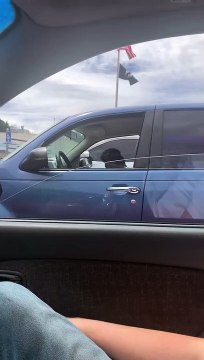 Grumpy Pug Wakes from Car Nap