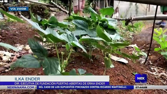 Entrevista a Ilka Ender y Dayana Batista, sobre la Fundación Puertas Abiertas de Erika Ender - Nex Noticias