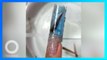 Salon Manicure Masukkan Ikan Hidup ke Dalam Kuku Palsu - TomoNews