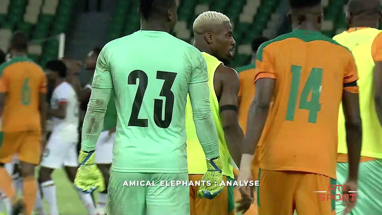 Amical éléphants : Analyse