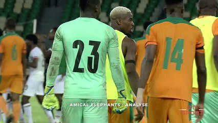 Amical éléphants : Analyse