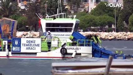 Bursa'da müsilaj temizliği başladı