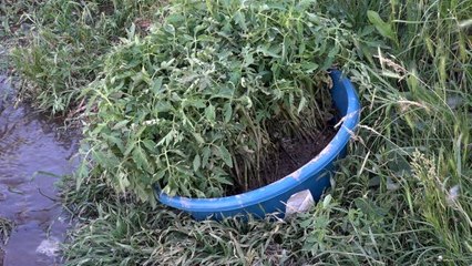 Domatese adanan bir ömür