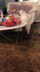 Tasty Treats Just Out of Reach