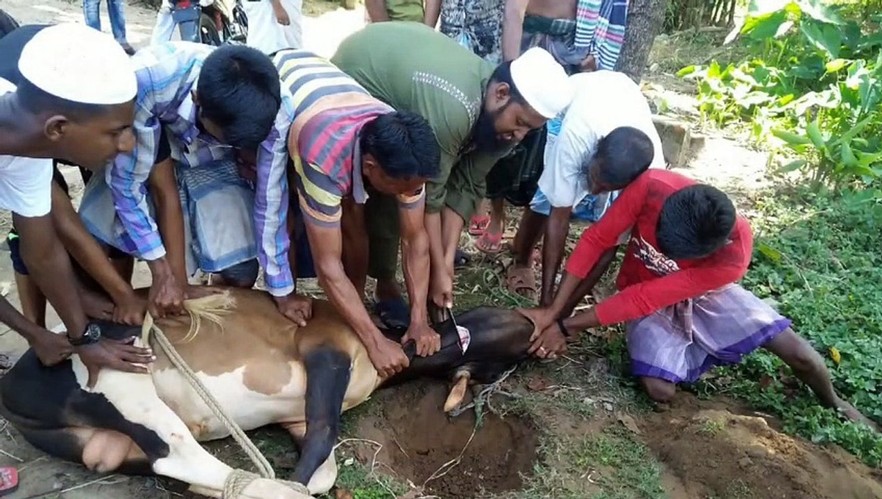 Qurbani aur Hajj ke masail .maulana makki al hijazi_ July 2020