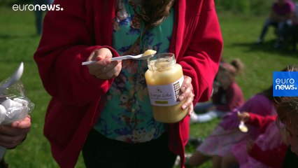 Farm to Fork | Descubra los beneficios de consumir miel